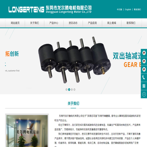 东莞市龙尔腾电机有限公司