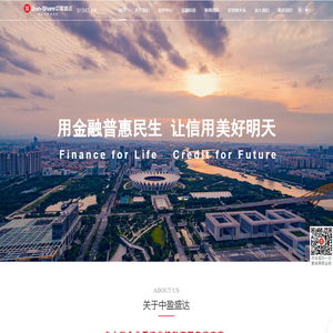 广东中盈盛达融资担保投资股份有限公司