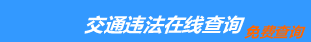 （手机版）安阳交通违章查询