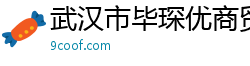 武汉市毕琛优商贸有限公司