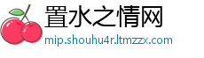 置水之情网