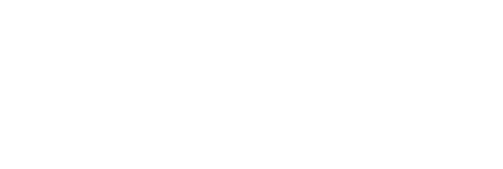 PanoSim