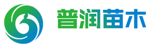 青州市普润苗木有限公司,时令草花系列；宿根地被系列；绿化苗木系列