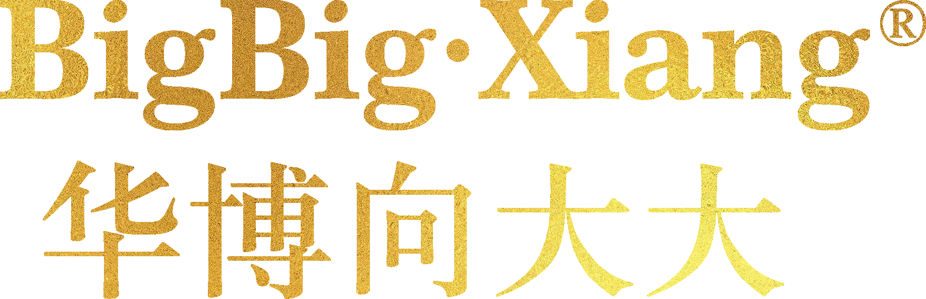 向大大内衣代理
