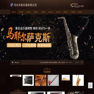 河北天韵乐器有限公司