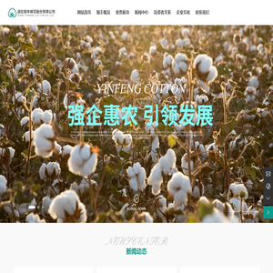 湖北银丰棉花股份有限公司