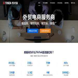 TikTok+AI外贸电商总裁班