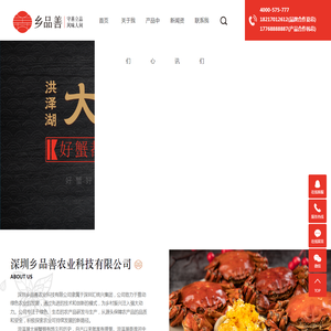 洪泽湖大闸蟹