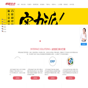 明硕税控接口系统