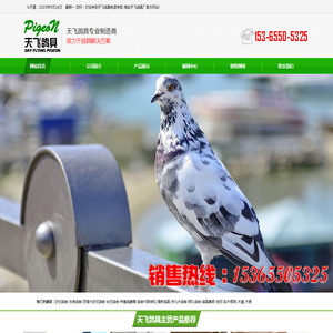 海安天飞鸽具厂.!