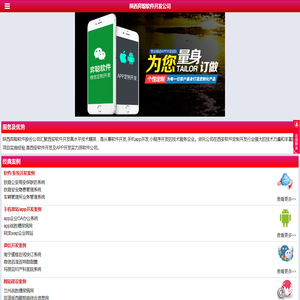 西安专业APP软件开发公司
