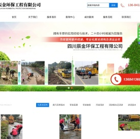四川辰金环保工程有限公司